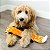 ZippyPaws Pelúcia Para Cães Jigglerz Raposa Com Apito - Imagem 5