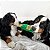 ZippyPaws Pelúcia de Garrafa Para Cães Happy Hour Crusherz Champagne Com Apito - Imagem 8