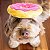 ZippyPaws Pelúcia Para Cães Donuts Morango Tamanho Jumbo - Imagem 5