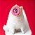ZippyPaws Pelúcia Para Cães Donuts Morango Tamanho Júnior - Imagem 7