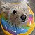 ZippyPaws Pelúcia Para Cães Donuts Arco-íris Tamanho M - Imagem 4