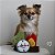 ZippyPaws Pelúcia Interativa Para Cães Burrow Barraca de Acampamento - Imagem 6