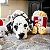 ZippyPaws Pelúcia Interativa Para Cães Burrow Balde de Pipoca - Imagem 8