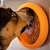 Tapete de Lamber Lickimat Ufo Tigela Comedouro Lento Para Cães e Gatos - Imagem 9