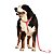 Toh Conjunto Peitoral H e Guia Para Cães Rosa Mosquetão Resistente Tamanho G - Imagem 5