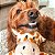 Kong Wild Knots Girafa Pelúcia de Corda Resistente Para Cães Tamanho P/M - Imagem 4