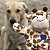 Kong Wild Knots Girafa Pelúcia de Corda Resistente Para Cães Tamanho P/M - Imagem 6