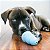 Kong Puppy Brinquedo Resistente Recheável Para Cães e Gatos Filhotes Tamanho G Azul - Imagem 9