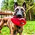 Kong Jumbler Football Brinquedo de Busca Com Apito Para Cães Tamanho M Vermelho - Imagem 4