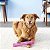 Kong Squeezz Crackle Stick Brinquedo Para Cães Bastão Som Crocante Rosa G - Imagem 4