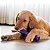 Kong Squeezz Crackle Stick Brinquedo Para Cães Bastão Som Crocante Roxo G - Imagem 4