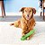 Kong Squeezz Crackle Stick Brinquedo Para Cães Bastão Som Crocante Verde G - Imagem 4
