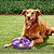 Kong Jumbler Football Brinquedo de Busca Com Apito Para Cães Tamanho M Roxo - Imagem 4