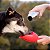 Kong Garrafa Bebedouro Portátil Para Cães de Aço Inoxidável H2o 740ml - Imagem 7