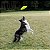 Kong Reflex Glide Flyer Frisbee Disco Resistente e Aquática Para Cães - Imagem 4