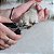 Alicate de Unha para Cães e Gatos M Germanhart - Imagem 5