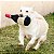 Pelúcia Para Cães Formato Garrafa Vinho Maubec Germanhart - Imagem 6
