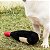 Pelúcia Para Cães Formato Garrafa Vinho Maubec Germanhart - Imagem 7