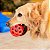 AirBall Bola Com Furos Recheável Para Cães Germanhart - Imagem 6