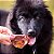 Kit 2 Focinho Suíno Mordedor 100% Natural Para Cães Allnatture - Imagem 4