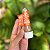 Kit 2 Mini Lambe Lambe Moela de Frango 10g Pulmão Suíno 5g Cães Gatos AlecrimPet - Imagem 5