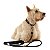 Kit Peitoral Mesh H Toh P + Guia Alça Comfort 1,5m Para Cães Preto - Imagem 5