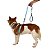 Kit Peitoral Mesh H Toh P + Guia Alça Comfort 1,5m Para Cães Azul - Imagem 5