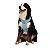 Kit Peitoral Mesh H Toh M + Guia Alça Comfort 1,5m Para Cães Azul - Imagem 3