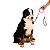 Kit Peitoral Mesh H Toh M + Guia Alça Comfort 1,5m Para Cães Rosa - Imagem 5