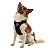 Kit Peitoral Mesh H Toh M + Guia Corda 1,20m Para Cães Preto - Imagem 3