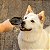 Casco Bovino Mordedor Natural para Cães 3 Uni Pet Bem - Imagem 5