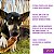 Kit 2 Pele Bovina Enrolada Mordedor Natural P/ Cães Rocambole Miudo AlecrimPet - Imagem 3