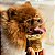 Kit 3 Pele Bovina Enrolada Mordedor Natural Para Cães Rosquinha AlecrimPet - Imagem 5
