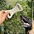 Kit Biobone 2 Mordedores Mordida Extra e Forte Para Cães Ossão - Imagem 9