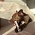 Kit Biobone 4 Mordedores Mordida Moderada e Forte Para Cães Ossinho - Imagem 9