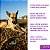Kit 5 Pele Bovina Enrolada Mordedor Natural P/ Cães Rocambole Graúdo AlecrimPet - Imagem 3
