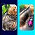 Ativador Liso Intenso Pet Ego Spray 300ml Cães e Gatos Banho e Tosa Bubbles - Imagem 5