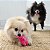 Kong Snuzzles Mini Porco Pelucia Para Cães Fofa Com Apito - Imagem 6