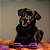 Brinquedo Resistente Recheável Para Cães Pet Fit Roxo M/G Amicus - Imagem 10