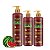 Kit Shampoo Suave Condicionador e Máscara Connect Dolce Pet Cães Gatos Melancia - Imagem 1