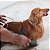 Escova Dupla Para Cães Cabo Gel Sem Bolinha Rosa G Germanhart - Imagem 9