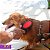 Escova Dupla Para Cães Com Bolinha P Germanhart - Imagem 5
