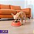 Comedouro Para Cães e Gatos Stark Bowl 350ml Rosê - Imagem 8