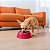 Comedouro Para Cães e Gatos Stark Bowl 350ml Magenta - Imagem 8