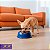 Comedouro Para Cães e Gatos Stark Bowl 350ml Azul Cobalto - Imagem 8