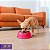 Comedouro Para Cães e Gatos Stark Bowl 350ml Pink Neon - Imagem 8