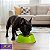 Comedouro Para Cães e Gatos Stark Bowl 550ml Verde Neon - Imagem 8