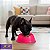 Comedouro Para Cães e Gatos Stark Bowl 550ml Pink Neon - Imagem 8