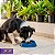 Comedouro Lento Interativo Para Cães Stark Slow 550ml Azul Cobalto - Imagem 9