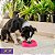Comedouro Lento Interativo Para Cães Stark Slow 550ml Pink Neon - Imagem 9